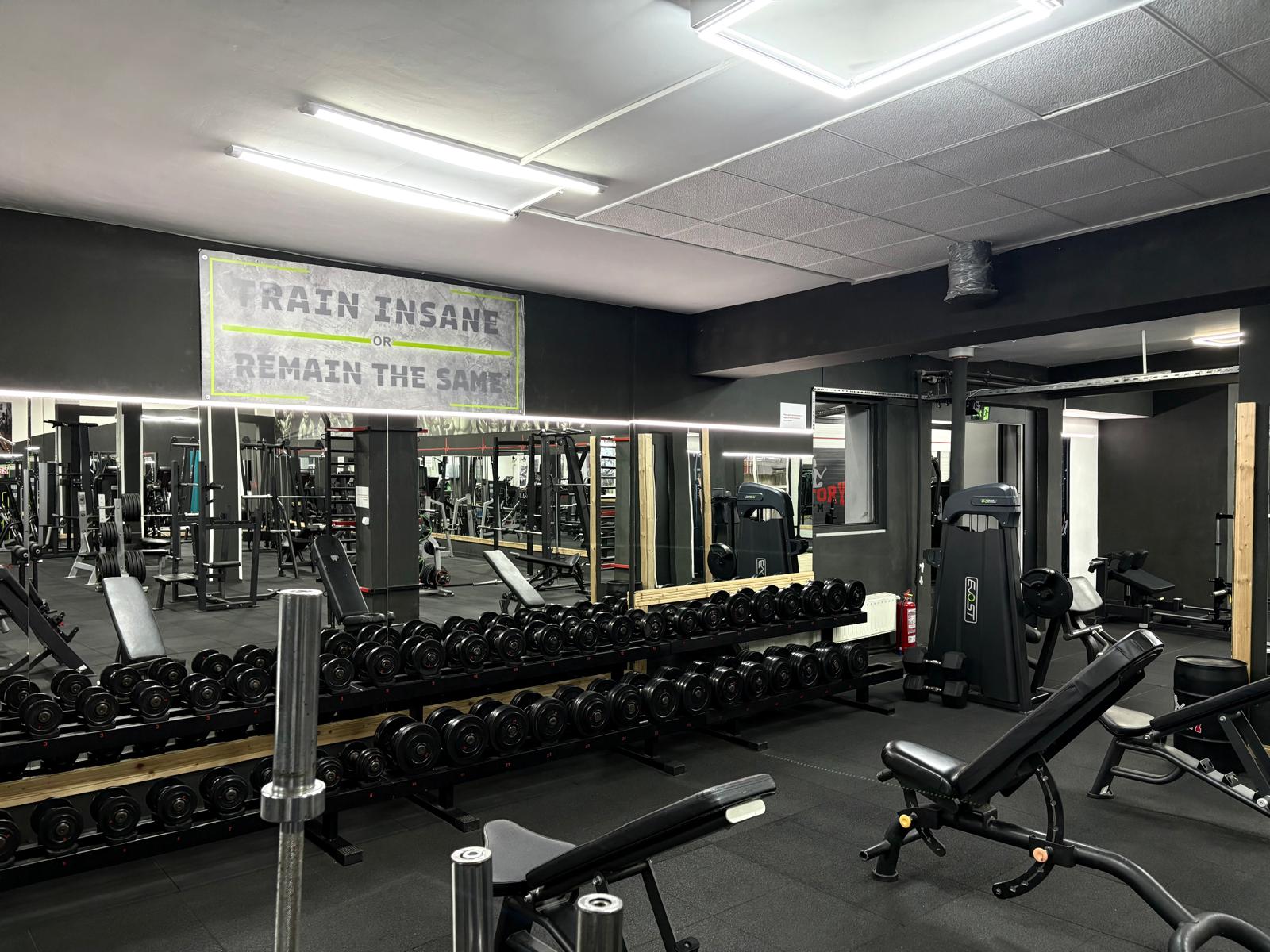 Zona pentru gantere - Train Insane or Remain the Same